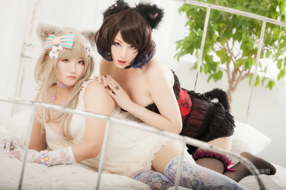 Dazai Garo & -kengo- Cat Ears [Rabbit hutch] Photo Set photo 37