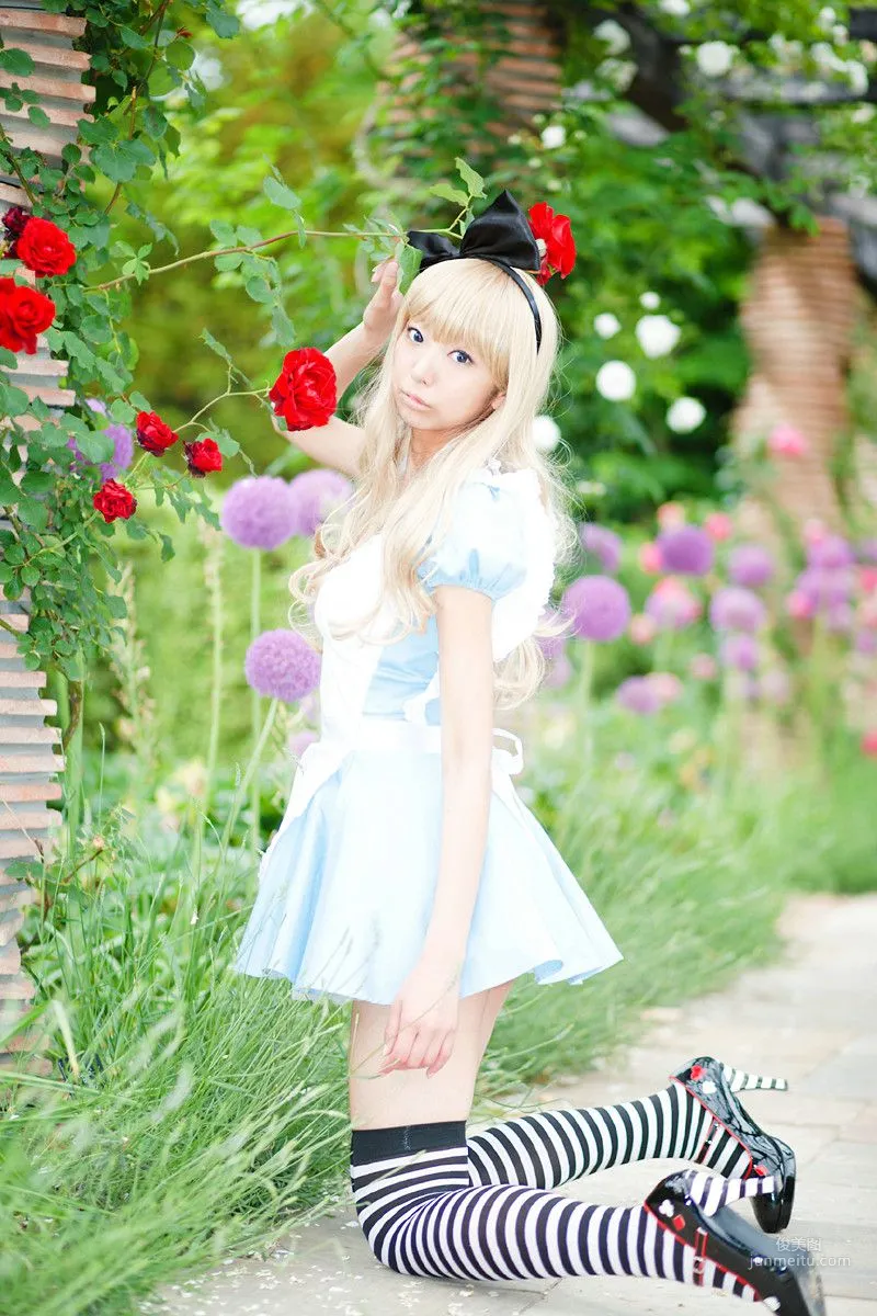 Necoco(ねここ) 《爱丽丝梦游仙境》5Set 写真集11