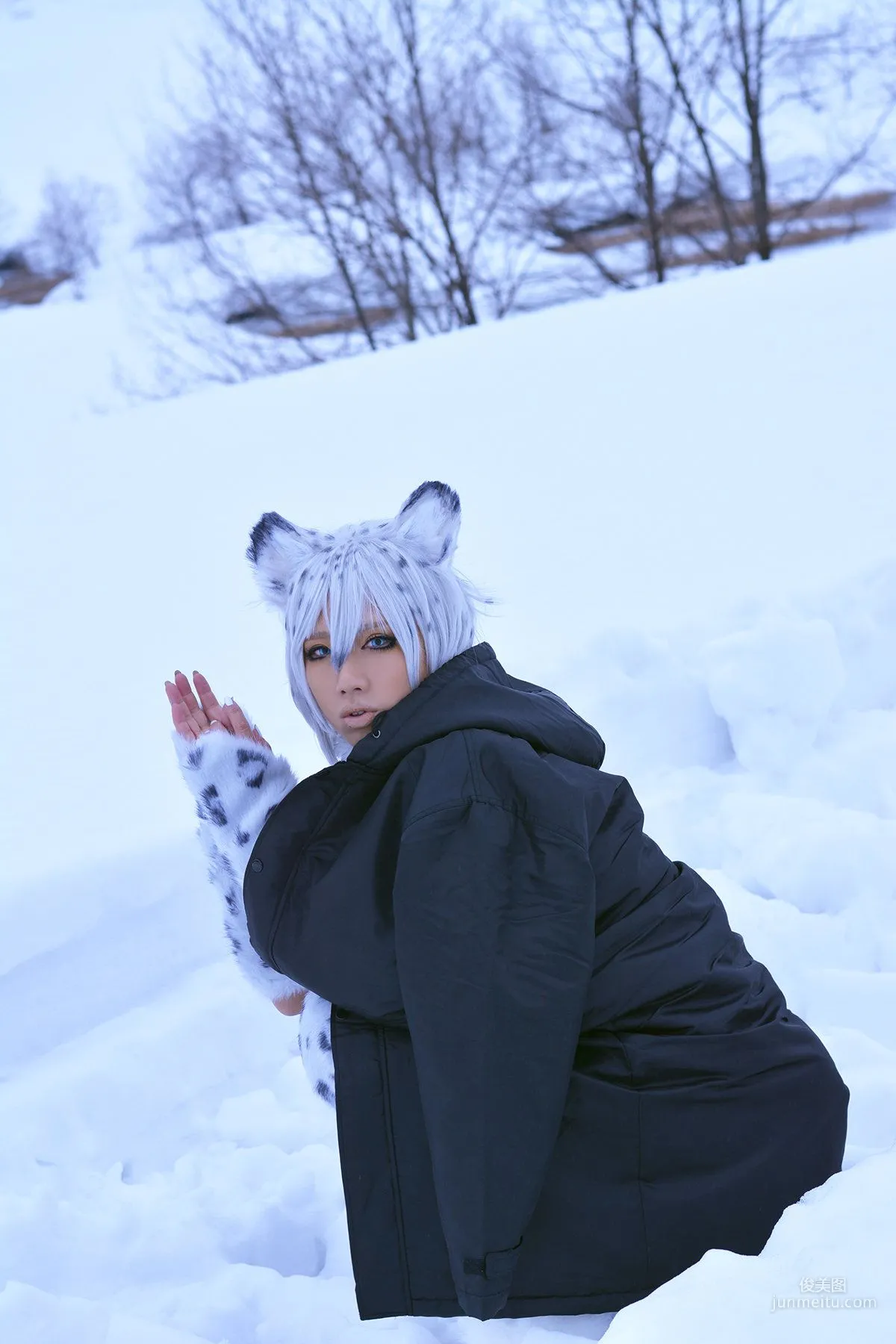 Non SummerJack: Cosplay Collection Snow Leopard photo 97