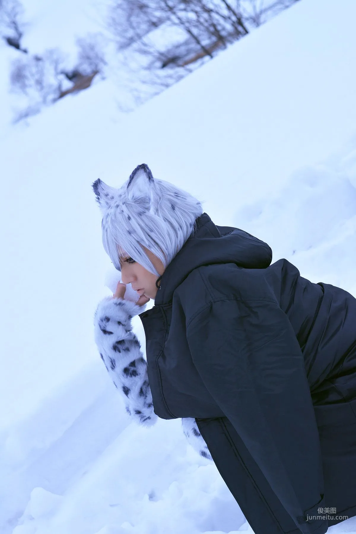Non SummerJack: Cosplay Collection Snow Leopard photo 96