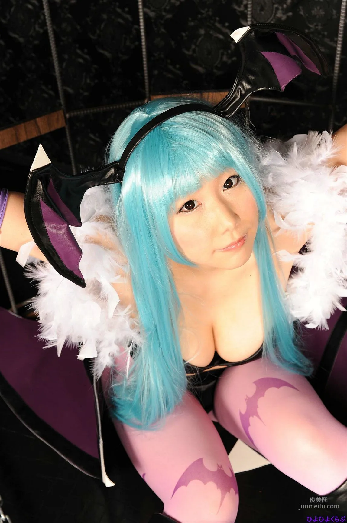Ymir《Vampire》Morrigan Aensland [Cosplay Collection] Photo Set photo 80