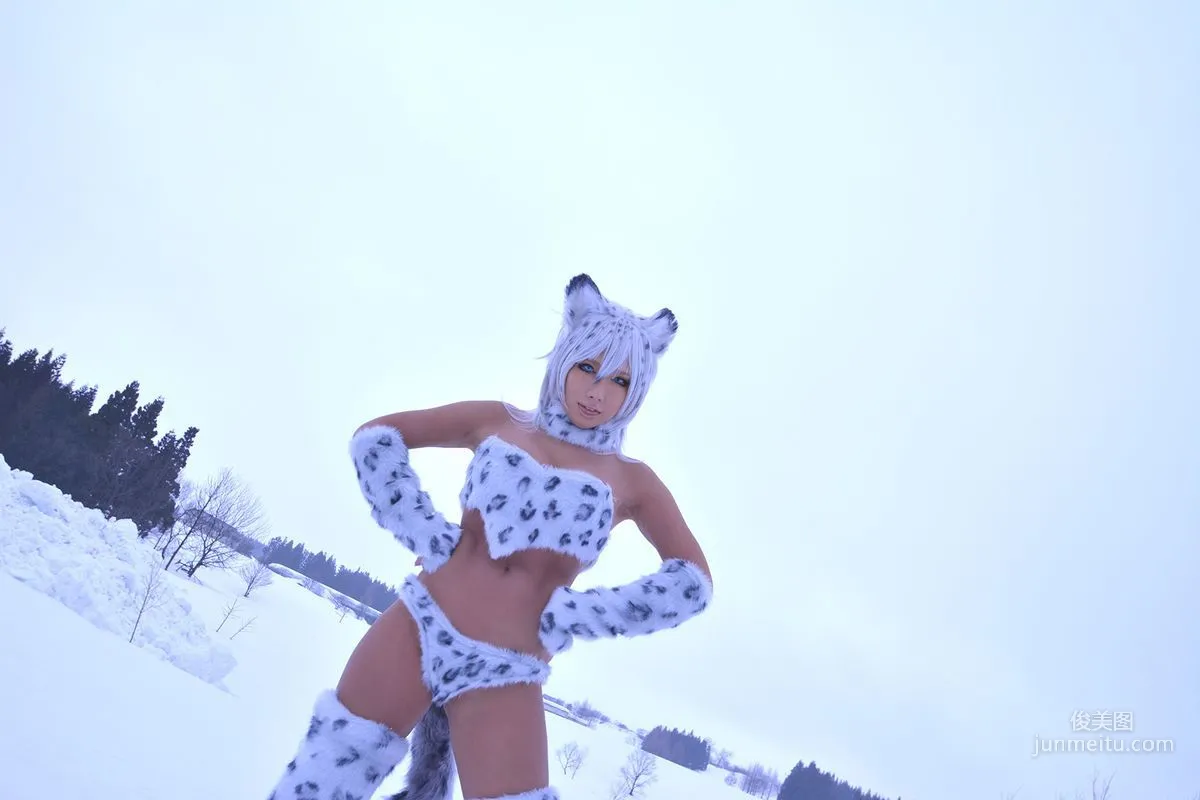 Non SummerJack: Cosplay Collection Snow Leopard photo 47