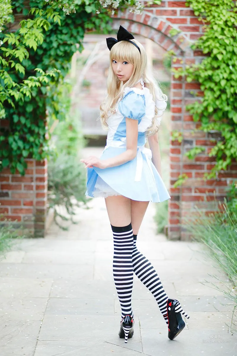 Necoco(ねここ) 《爱丽丝梦游仙境》5Set 写真集19