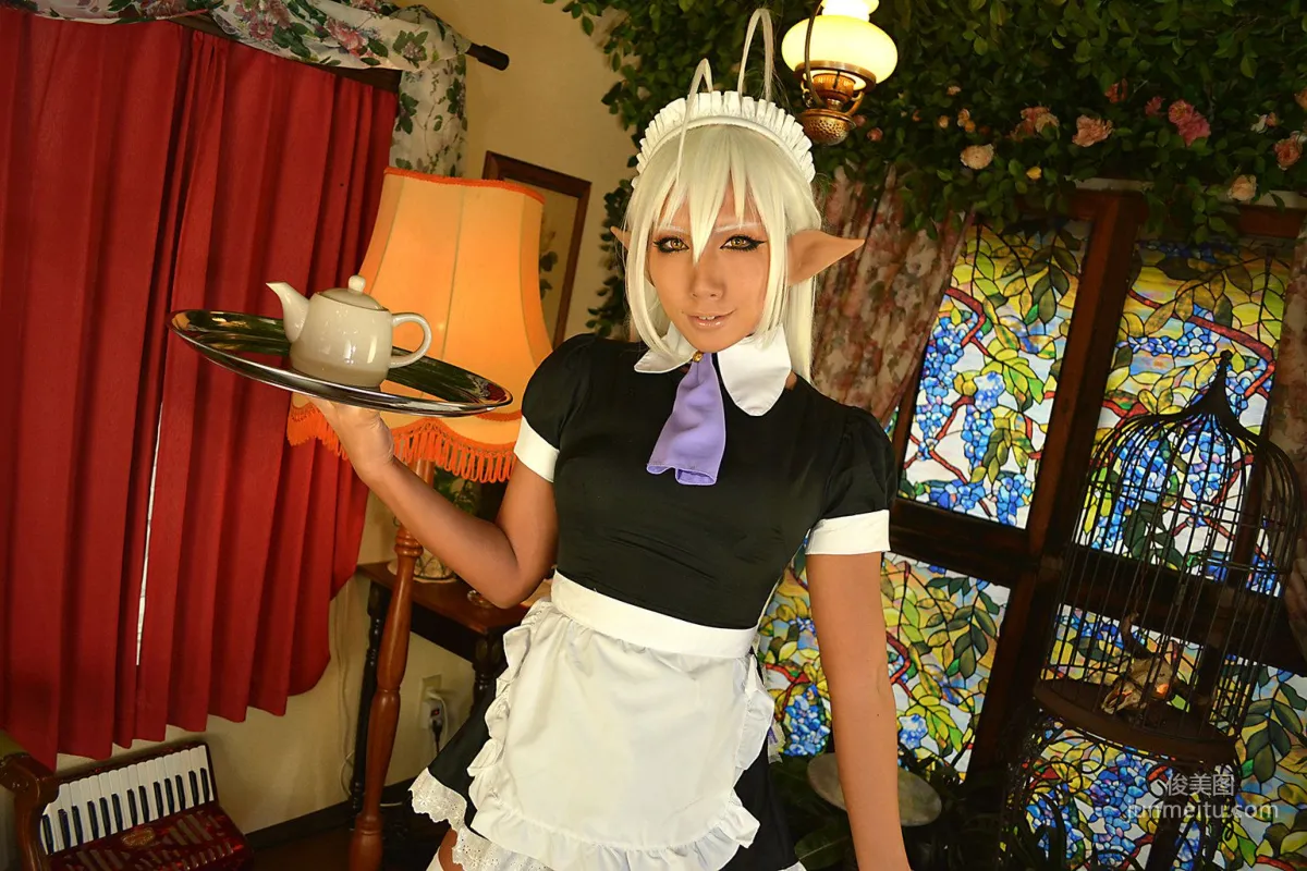 Non SummerJack, Full Metal Daemon Muramasa Sansei Muramasa Maid Photo Set photo 2