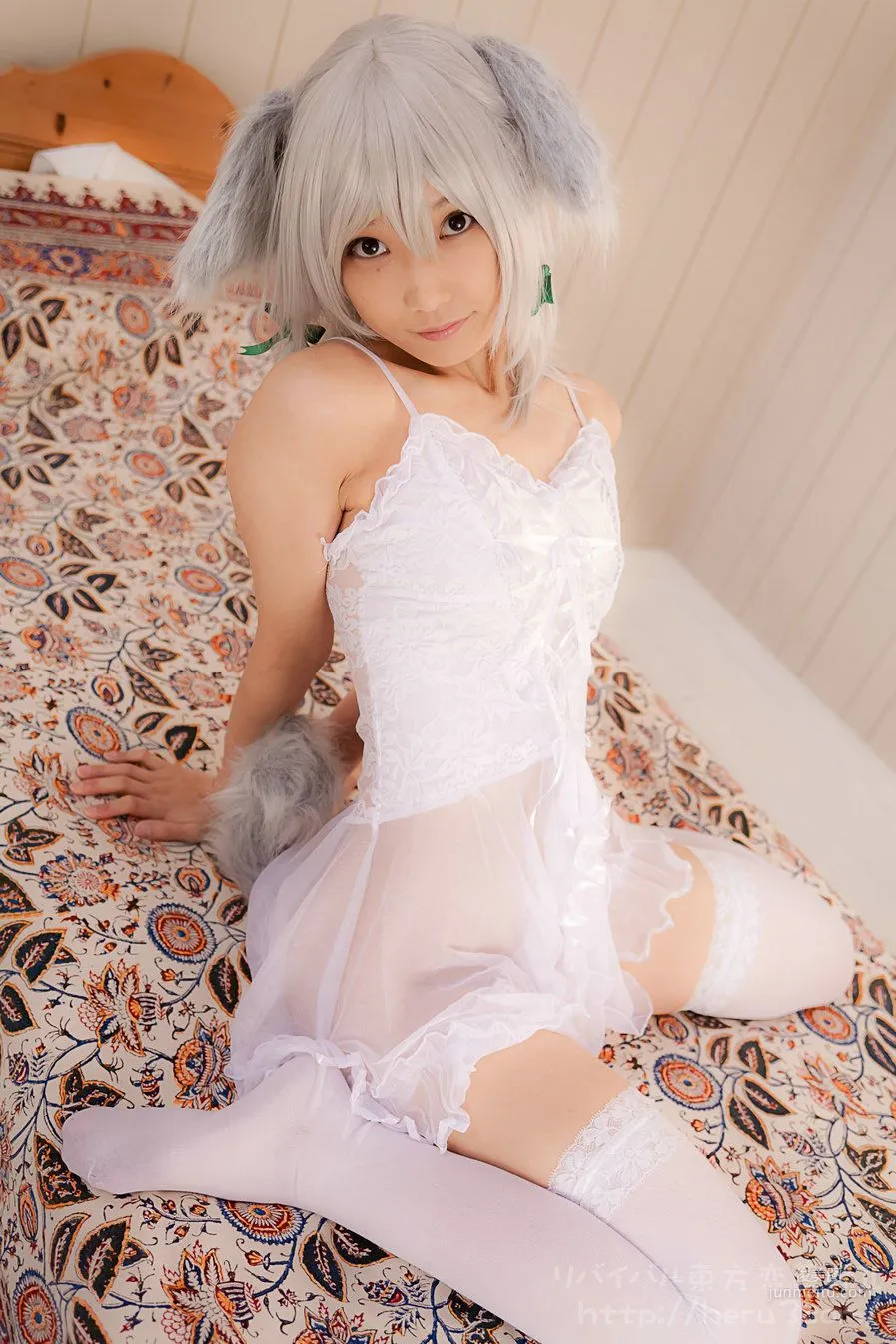 Lenfried: Cosplay Collection Project photo 3