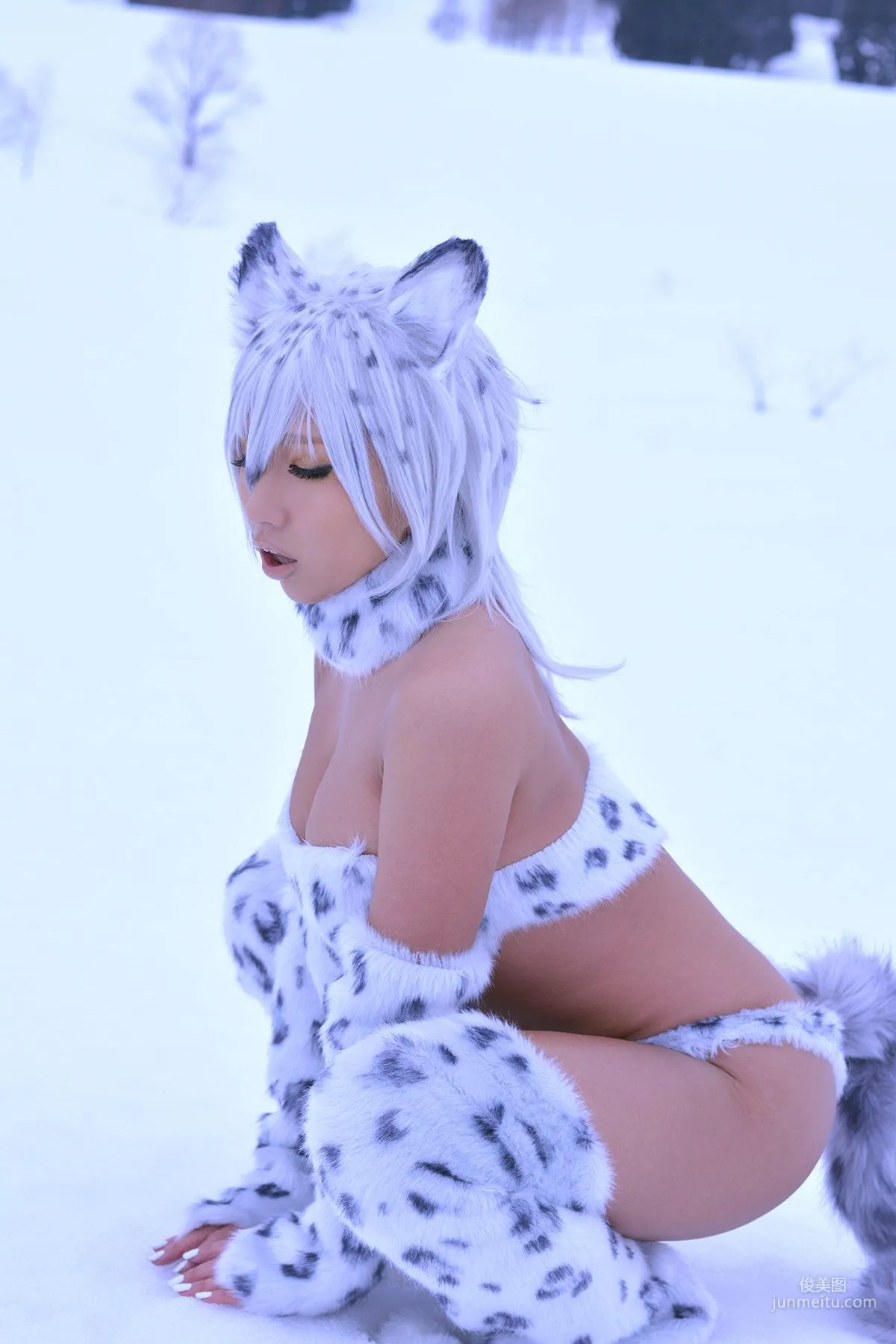 Non SummerJack: Cosplay Collection Snow Leopard photo 20