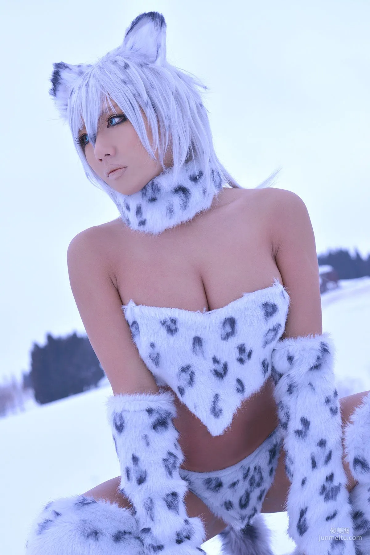 Non SummerJack: Cosplay Collection Snow Leopard photo 25