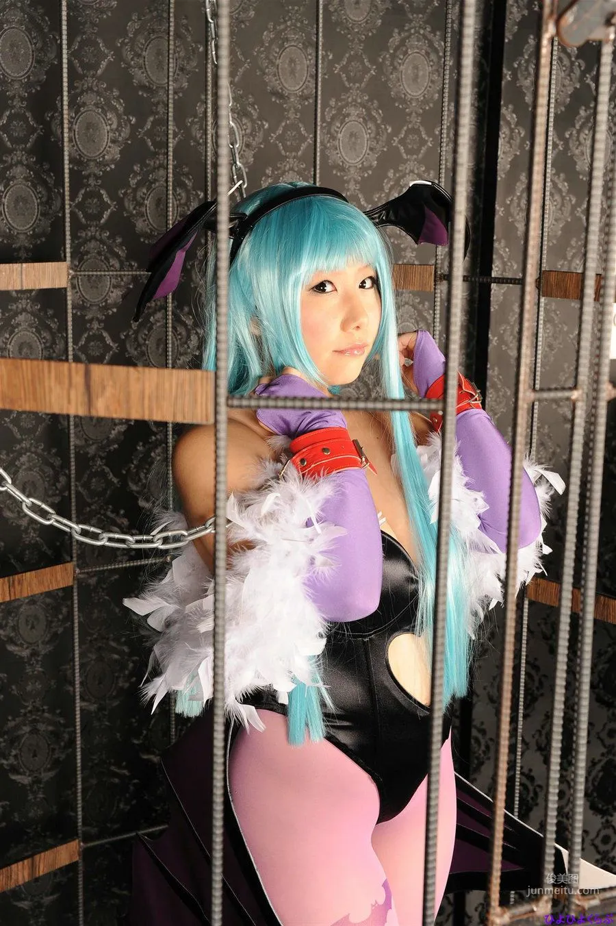 Ymir《Vampire》Morrigan Aensland [Cosplay Collection] Photo Set photo 63