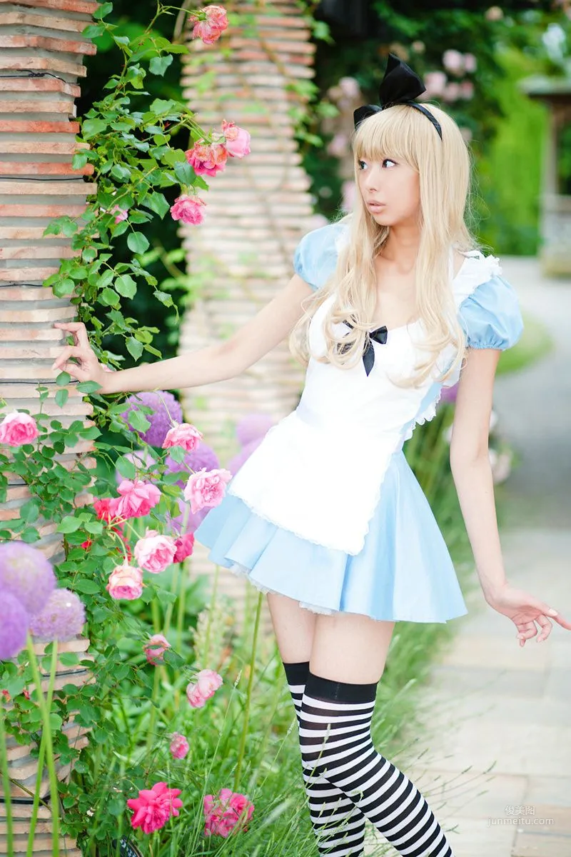 Necoco(ねここ) 《爱丽丝梦游仙境》5Set 写真集14