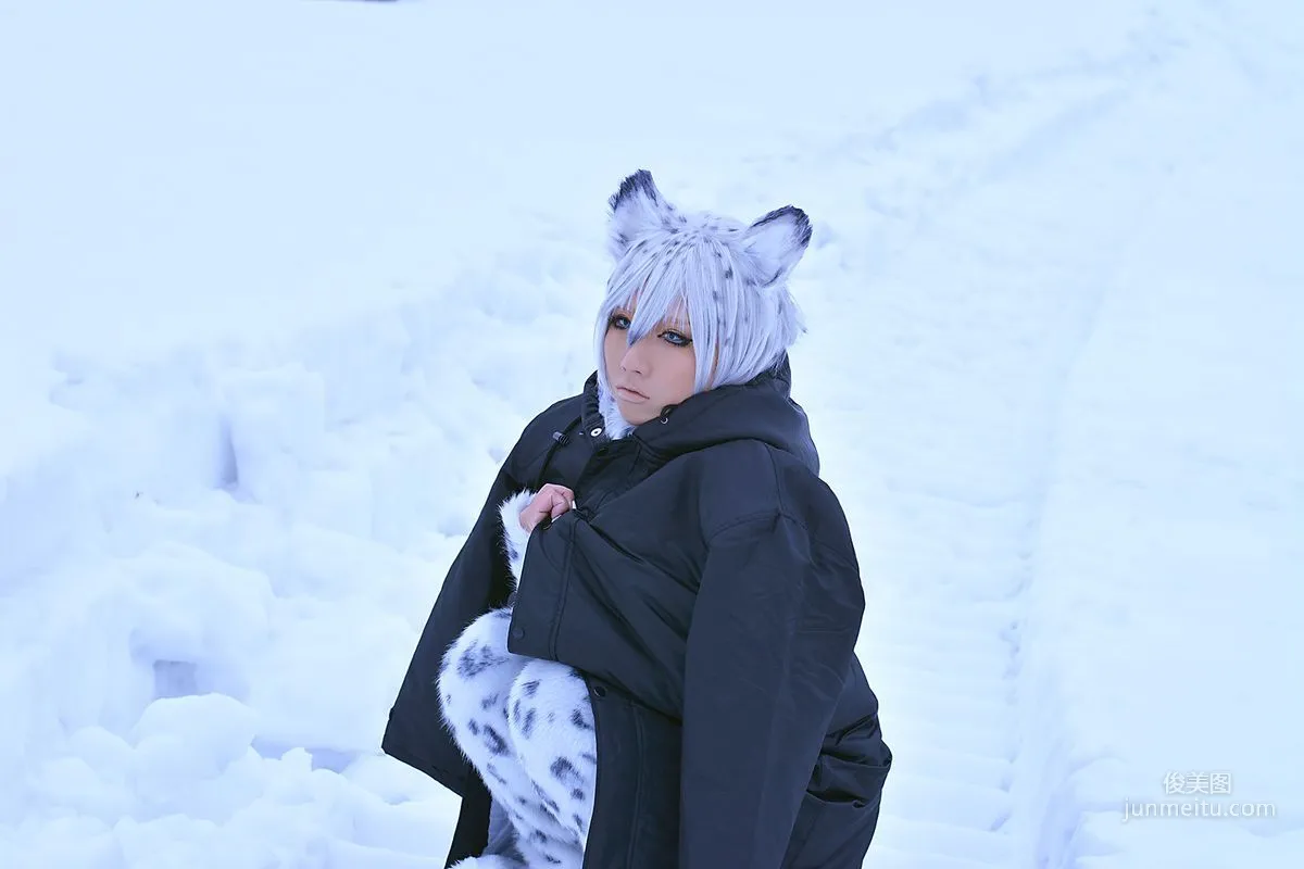 Non SummerJack: Cosplay Collection Snow Leopard photo 95