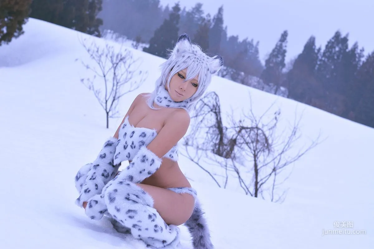 Non SummerJack: Cosplay Collection Snow Leopard photo 31