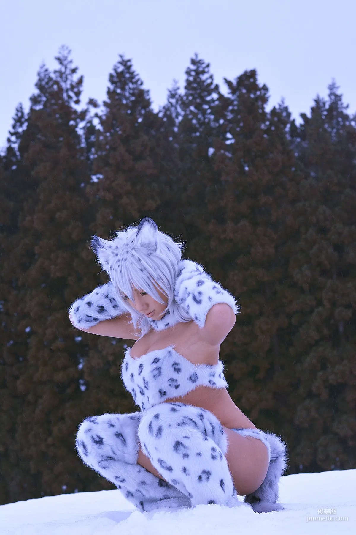 Non SummerJack: Cosplay Collection Snow Leopard photo 76