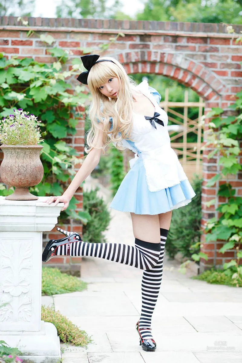 Necoco(ねここ) 《爱丽丝梦游仙境》5Set 写真集18