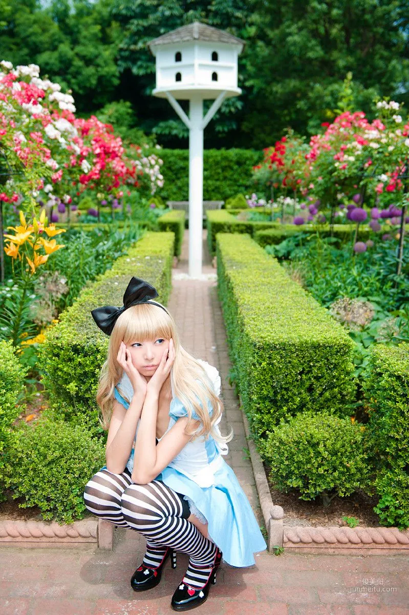 Necoco(ねここ) 《爱丽丝梦游仙境》5Set 写真集22
