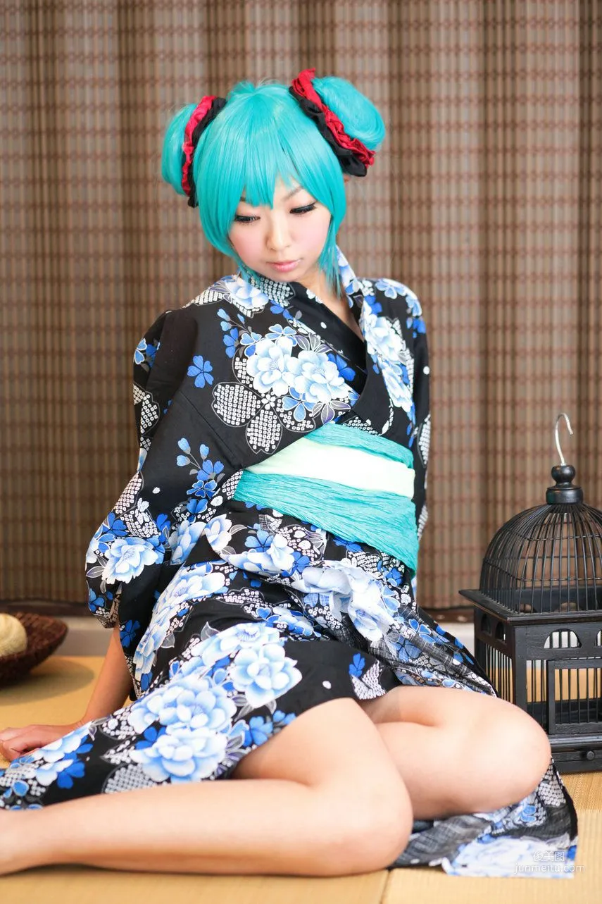 Necoco, VOCALOID Hatsune Miku Part 5 Photo Set photo 64