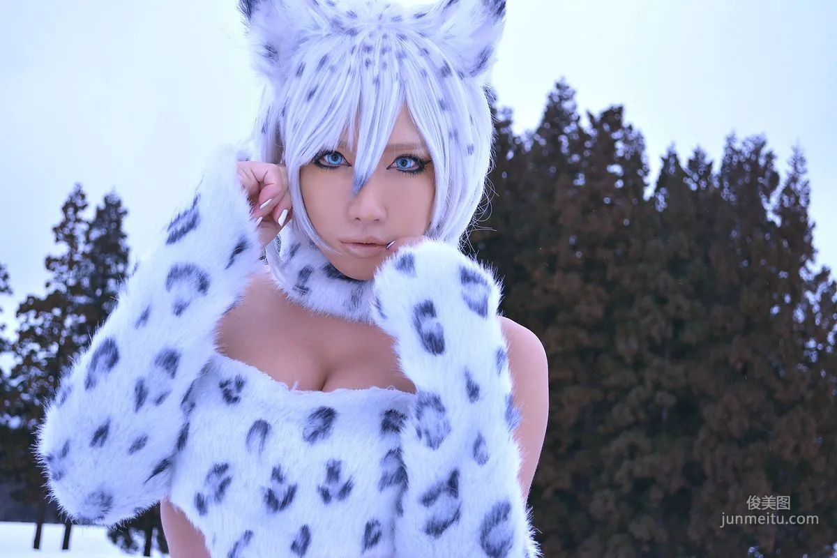 Non SummerJack: Cosplay Collection Snow Leopard photo 18