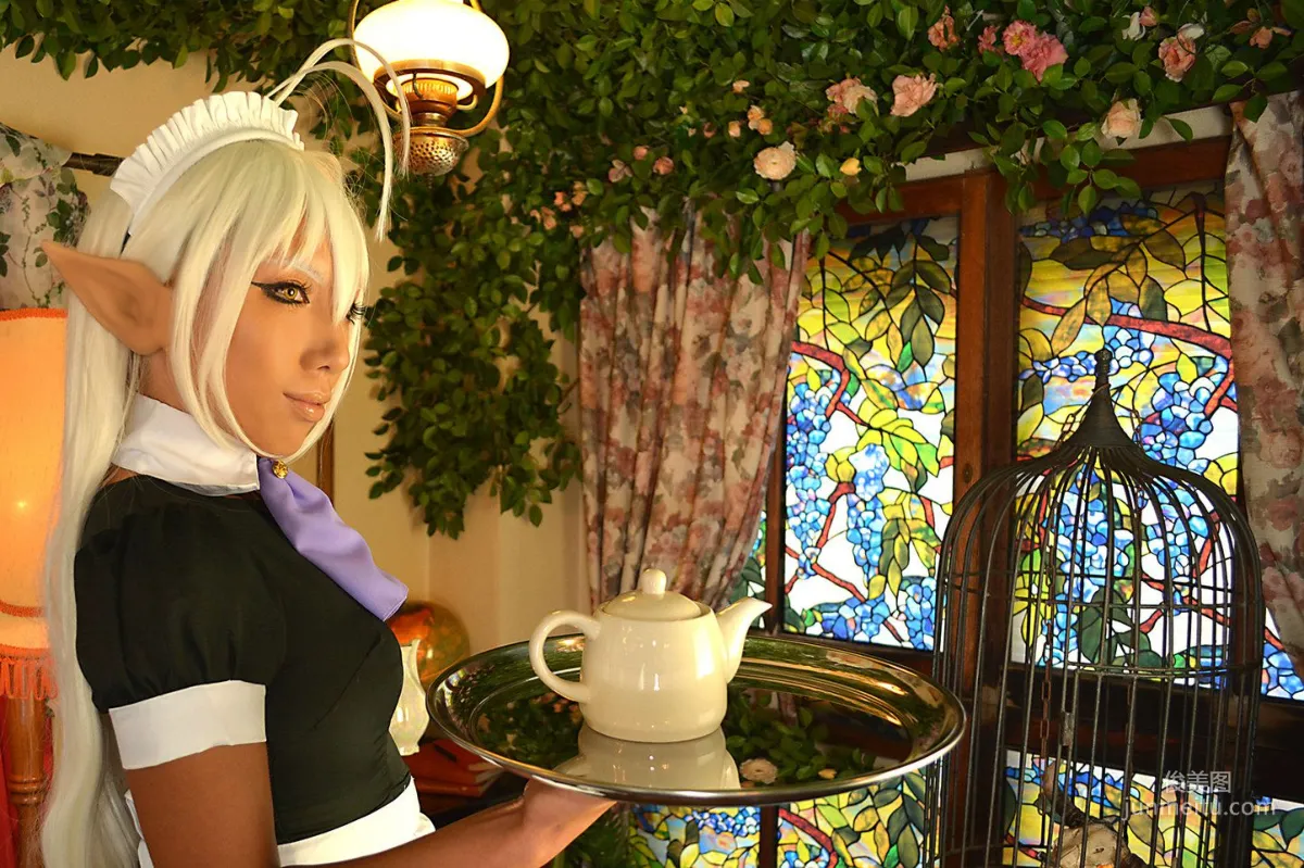 Non SummerJack, Full Metal Daemon Muramasa Sansei Muramasa Maid Photo Set photo 8