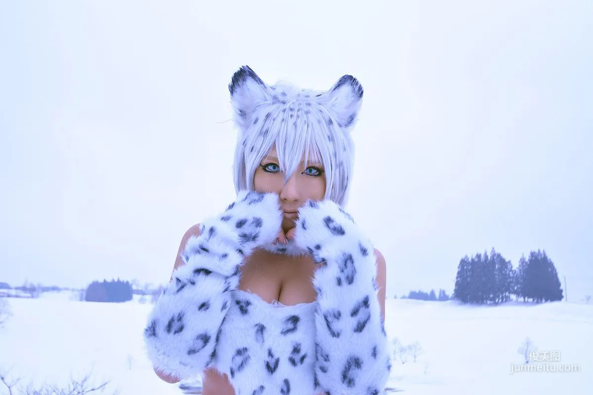 Non SummerJack: Cosplay Collection Snow Leopard photo 64