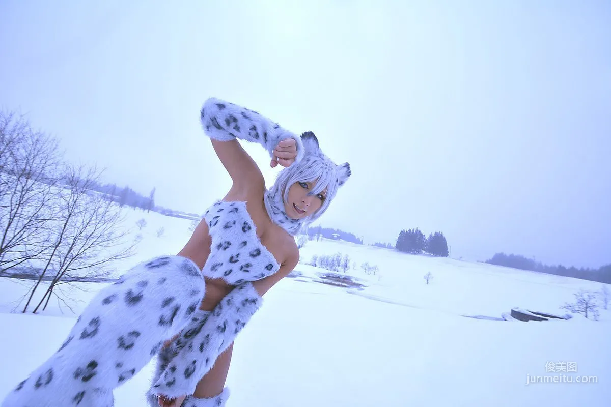 Non SummerJack: Cosplay Collection Snow Leopard photo 55