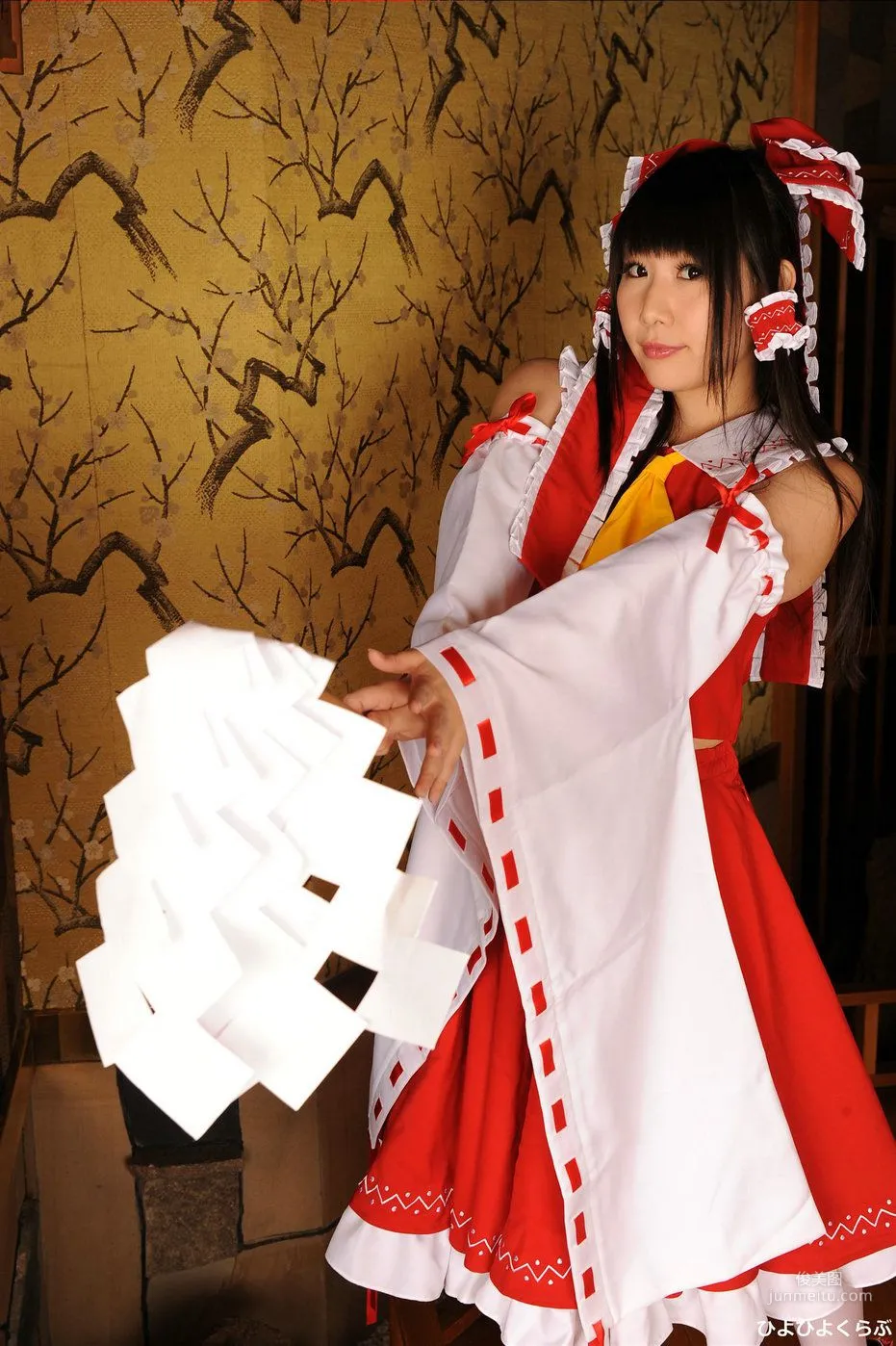 Ymir《Touhou Project》Hakurei Reimu [HiyoHiyo Club] Photo Set photo 3