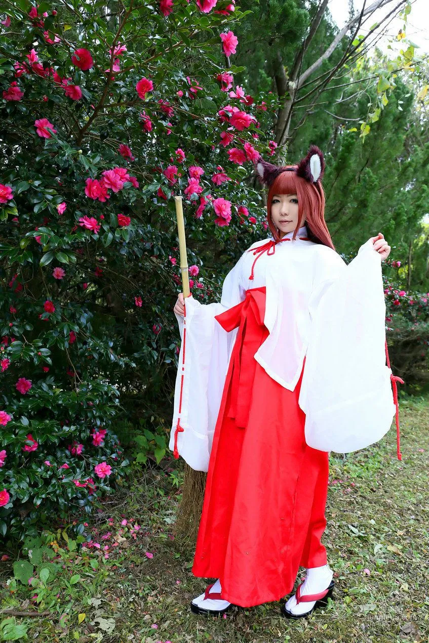 Higurashi Rin [Fox Club 2nd Generation Miko [Higurashi Kikaku] Photo Set photo 19