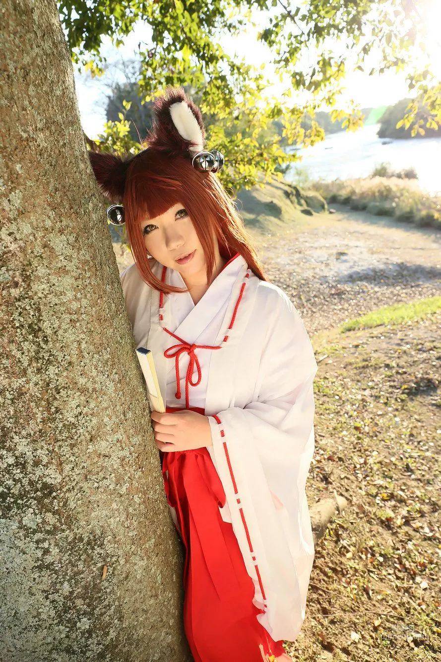 Higurashi Rin [Fox Club 2nd Generation Miko [Higurashi Kikaku] Photo Set photo 52