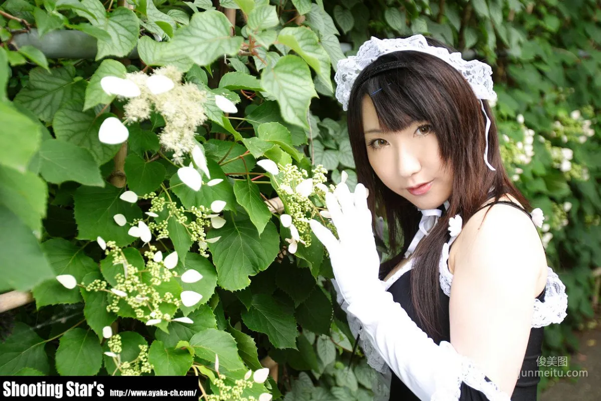 Saku: Cosplay Collection photo 7