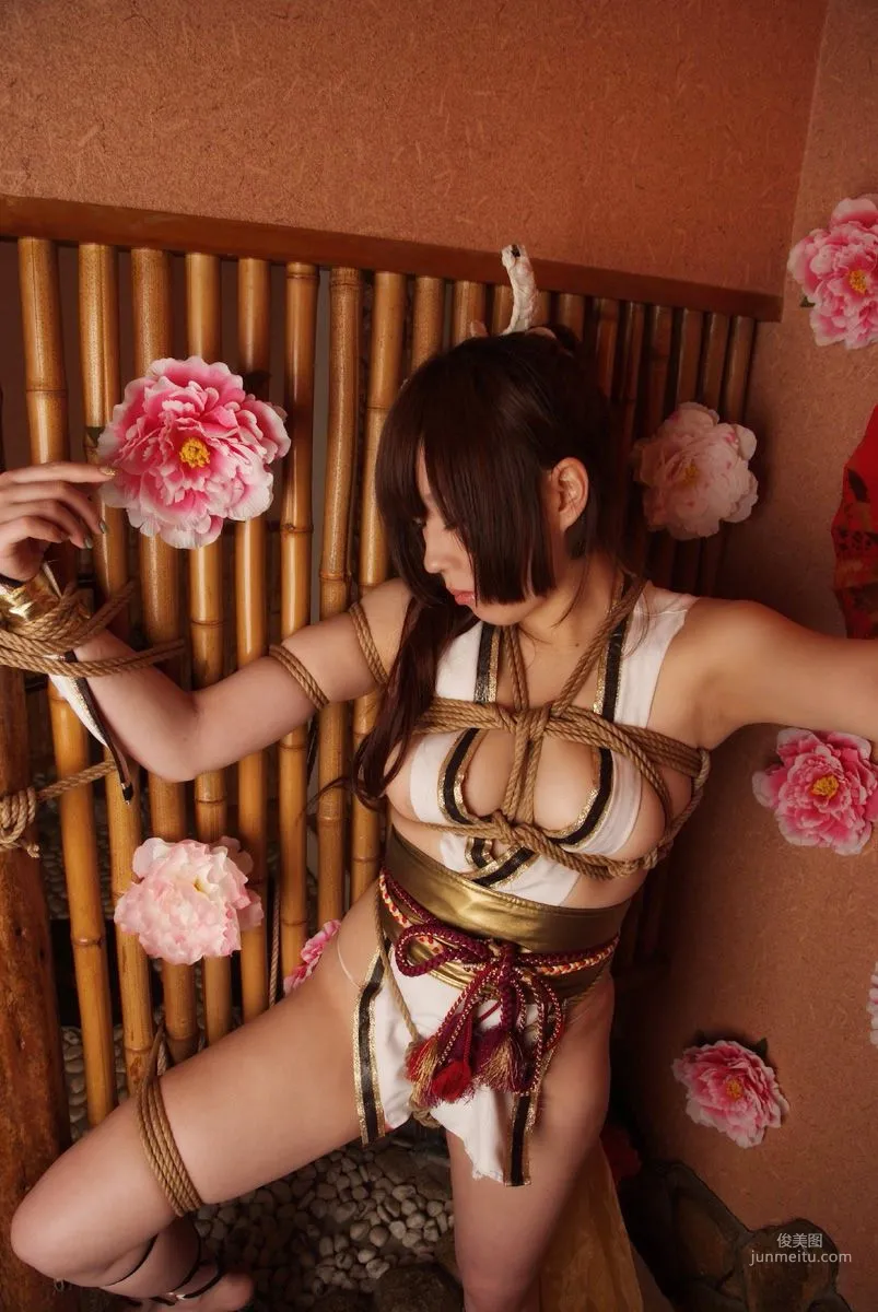 Ringo Mitsuki: Cosplay Collection photo 59