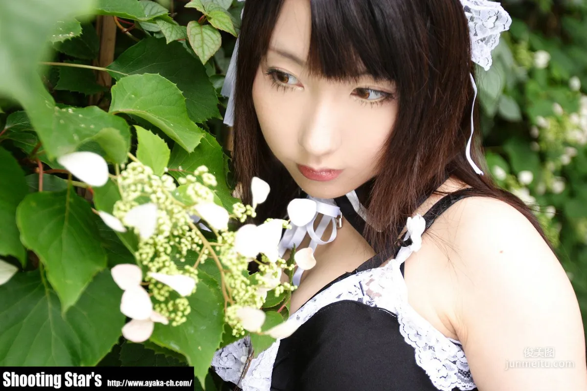 Saku: Cosplay Collection photo 8