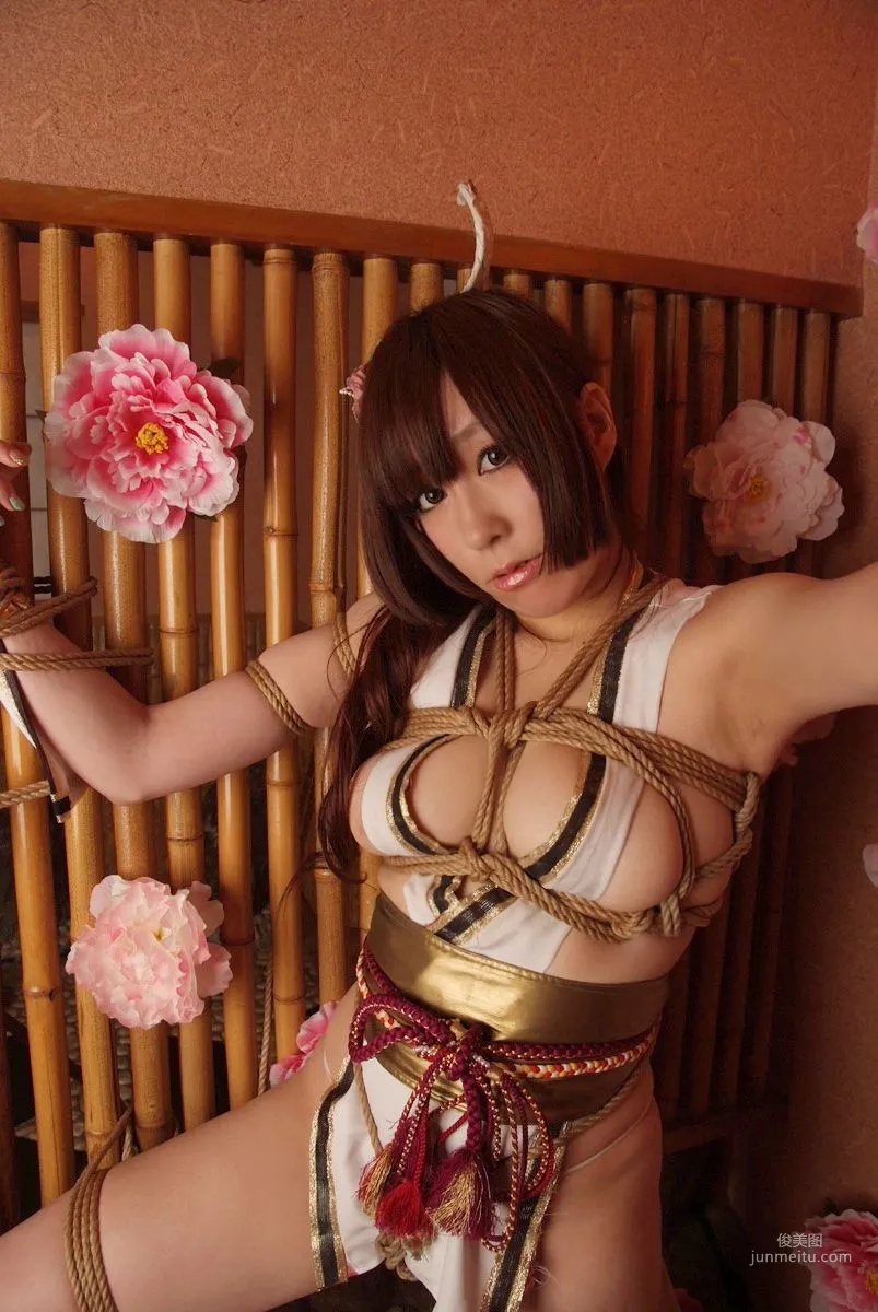 Ringo Mitsuki: Cosplay Collection photo 58