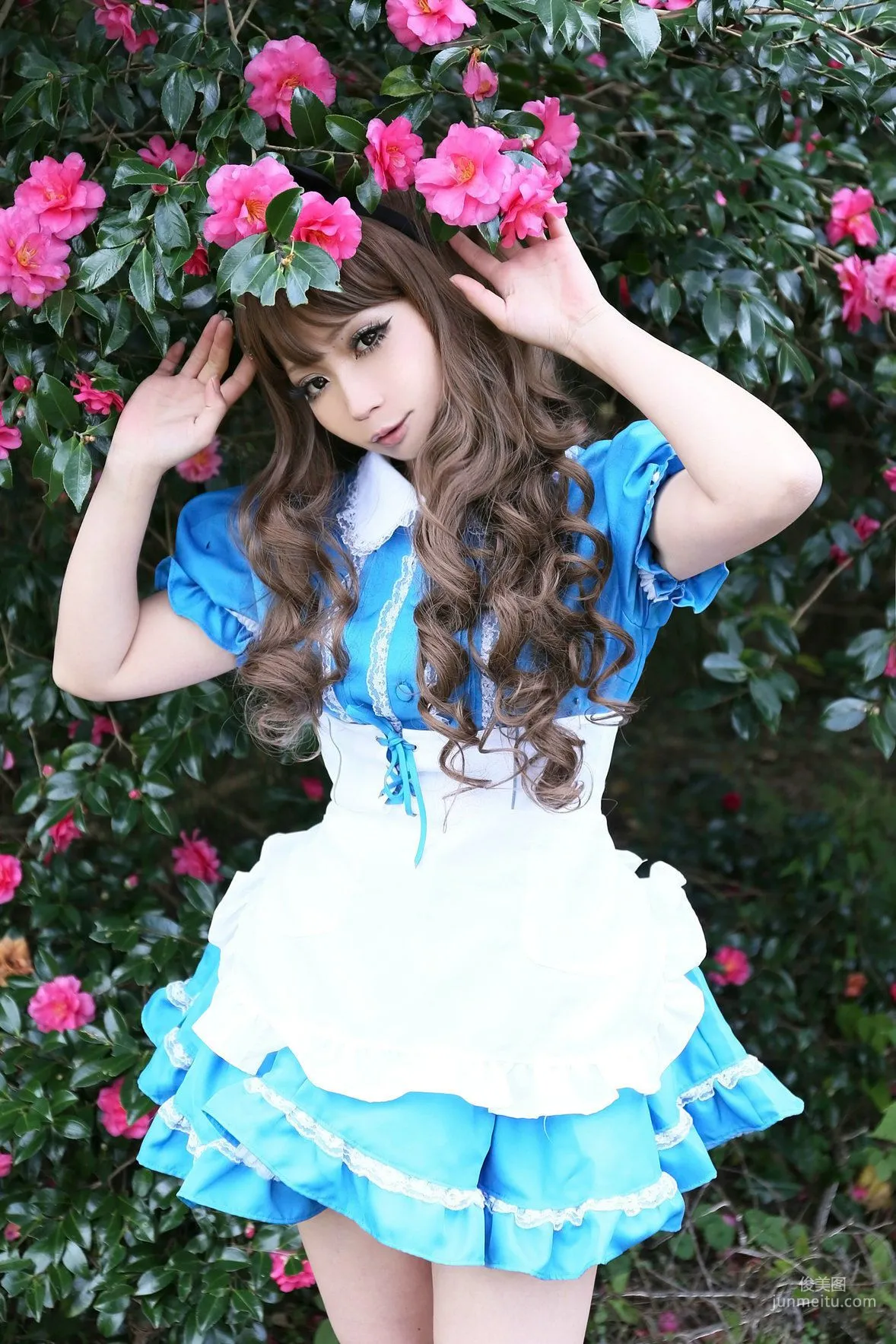 日暮らん 《Alice's Adventures in Wonderland》 Lite.Ver. [HBS] 寫真集 8