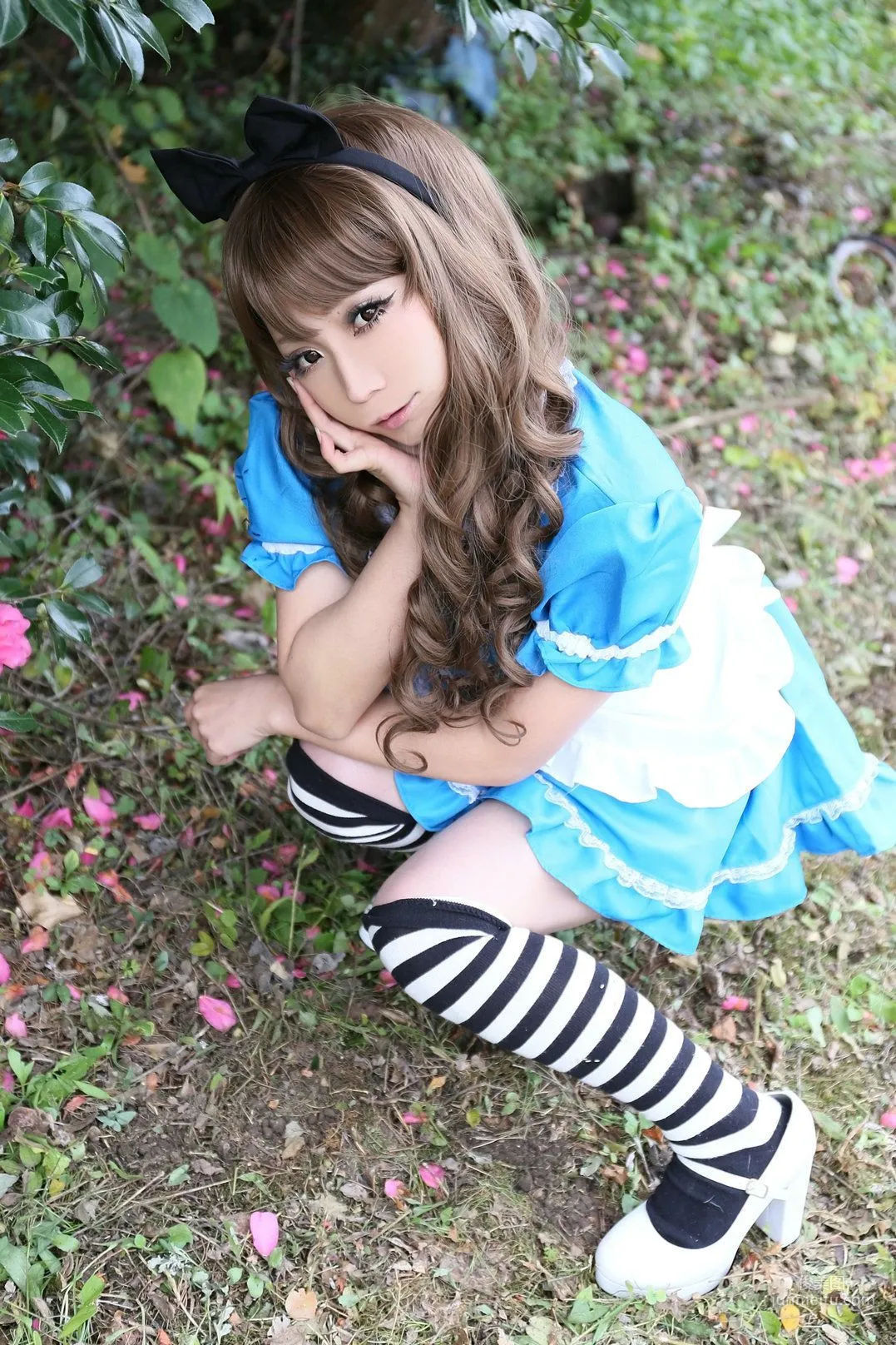 日暮らん 《Alice's Adventures in Wonderland》 Lite.Ver. [HBS] 寫真集 7