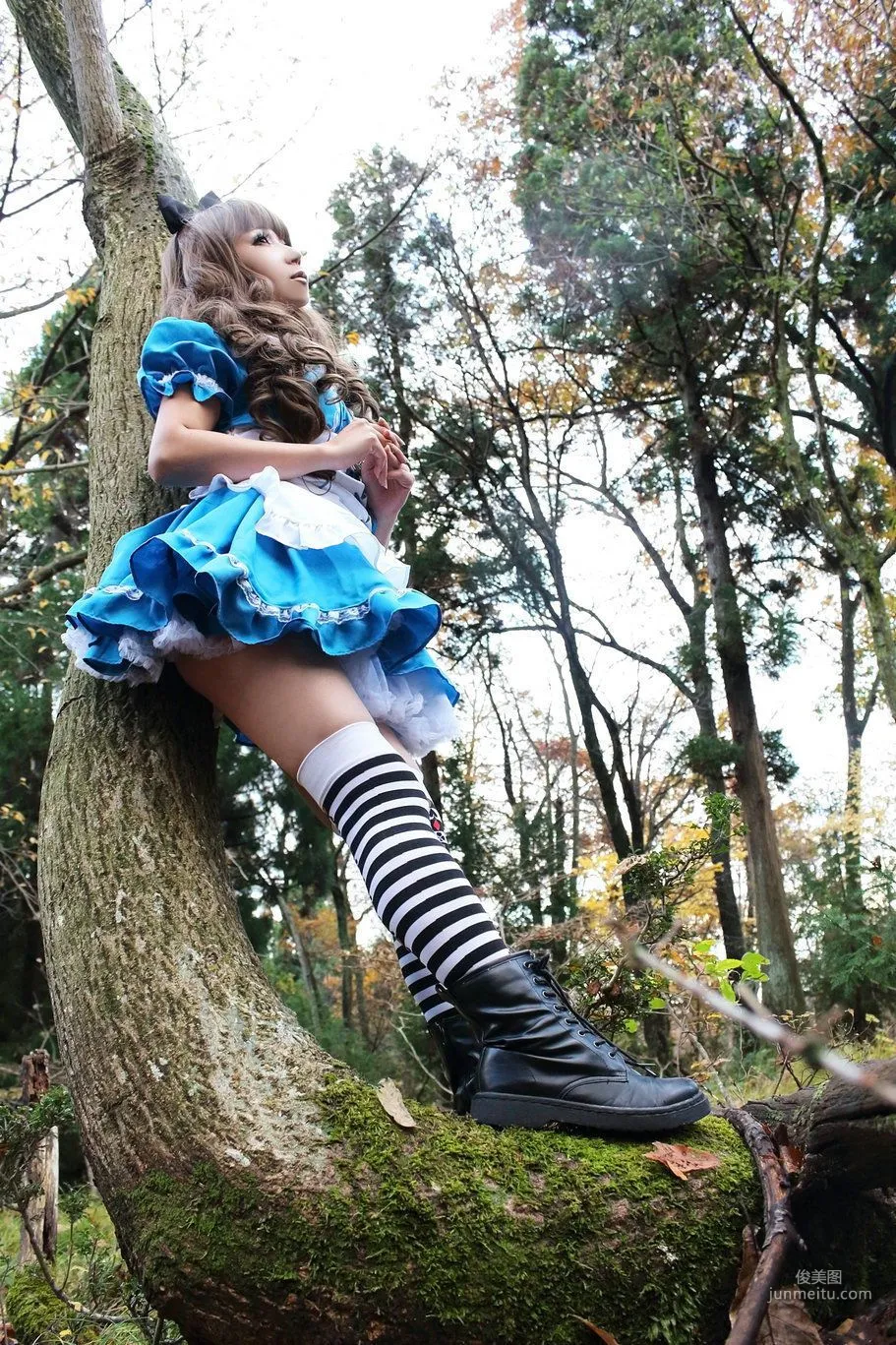 日暮らん 《Alice's Adventures in Wonderland》 Lite.Ver. [HBS] 寫真集 50