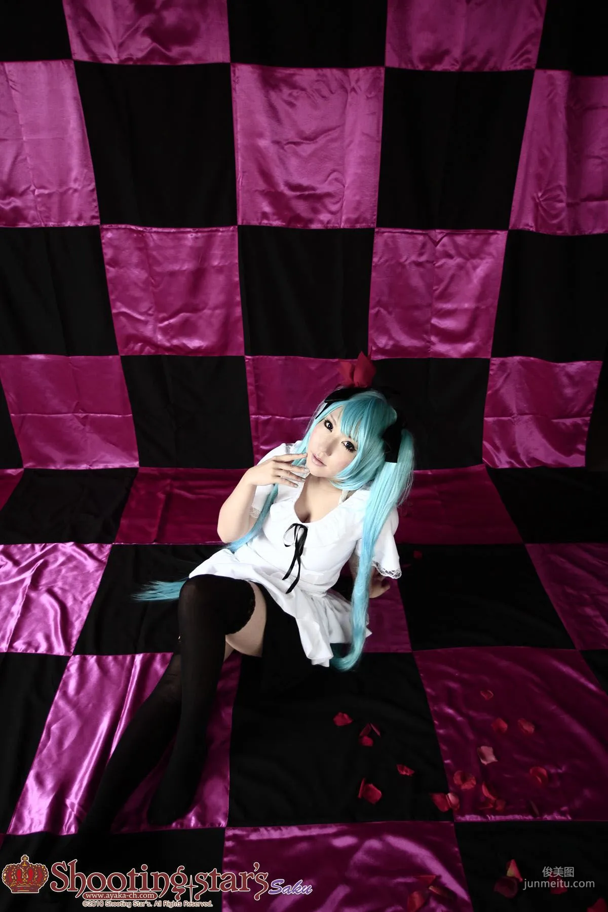 Ayaka Saku (Saku Ayaka) Vocaloid Hatsune Miku 4 Photo Set photo 9