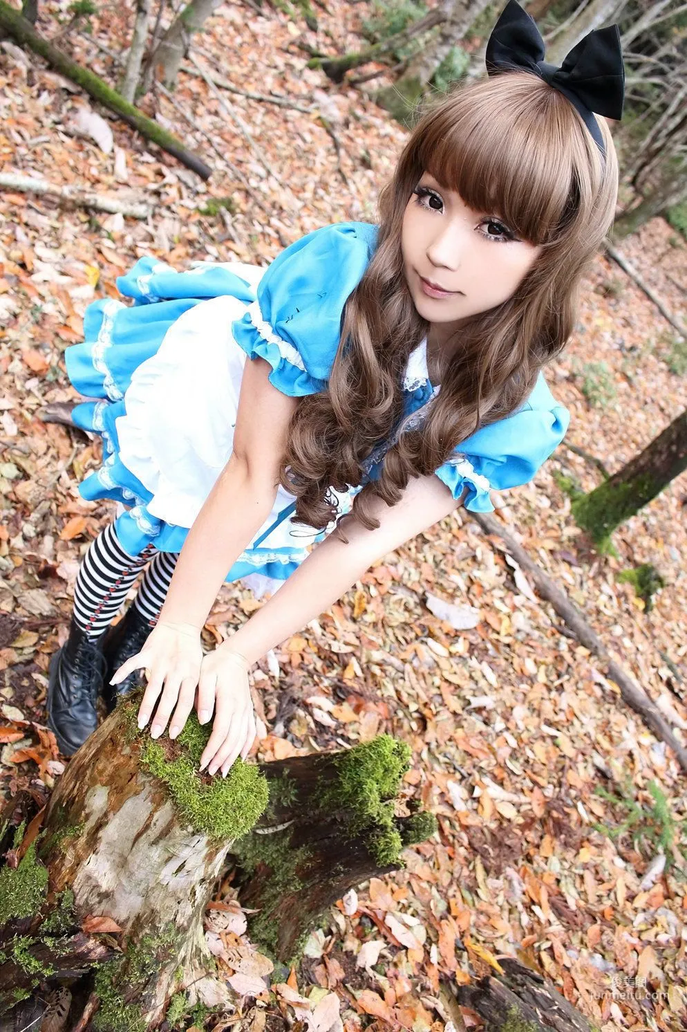 日暮らん 《Alice's Adventures in Wonderland》 Lite.Ver. [HBS] 寫真集 47