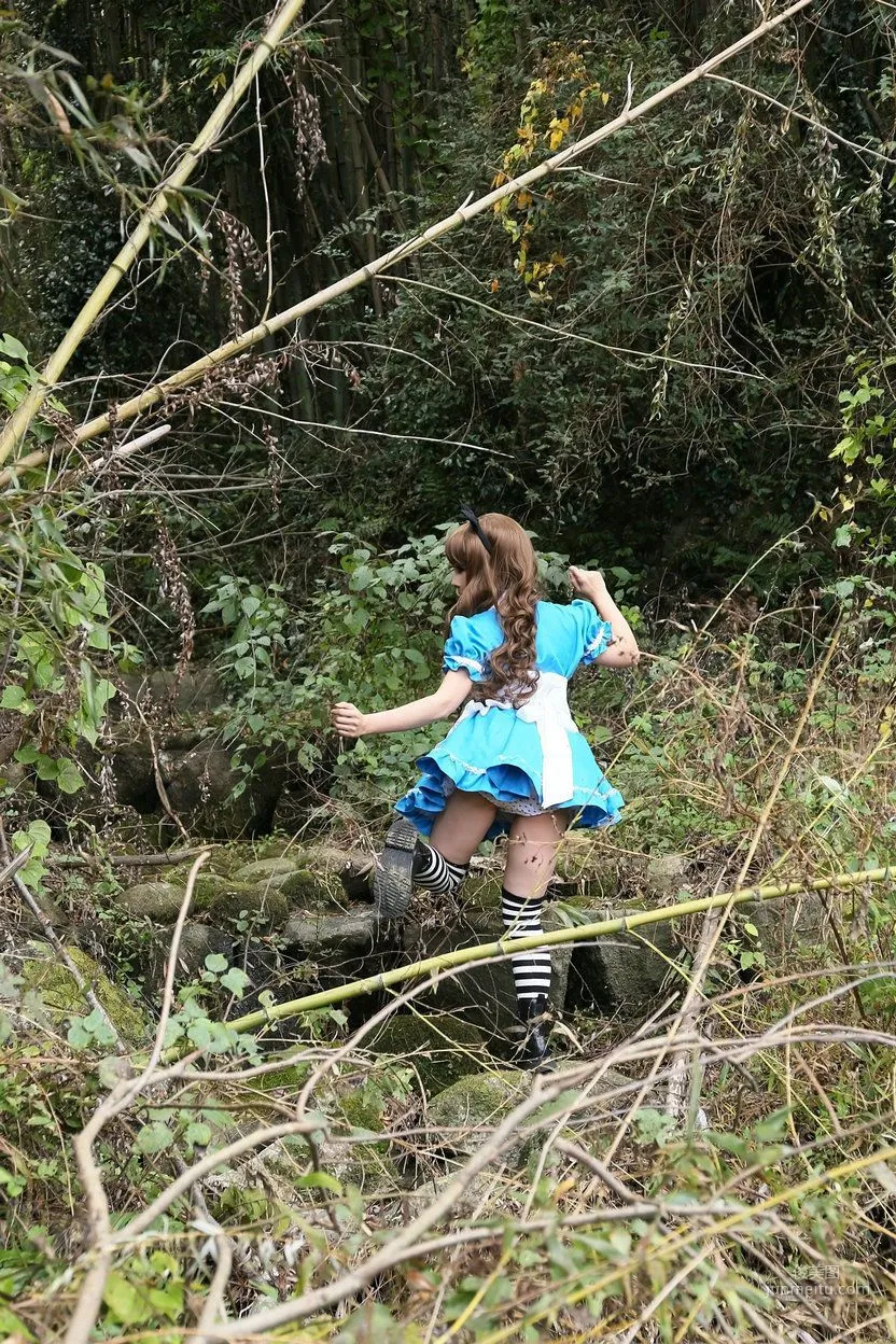 日暮らん 《Alice's Adventures in Wonderland》 Lite.Ver. [HBS] 寫真集 6