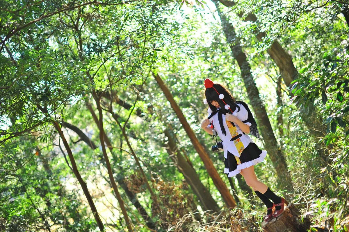 Tenshi Myu 'Touhou Project' Aya Shameimaru [Sugar Myuku] Photo Set photo 44