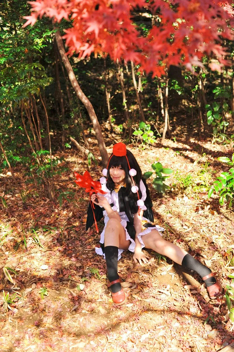 Tenshi Myu 'Touhou Project' Aya Shameimaru [Sugar Myuku] Photo Set photo 3