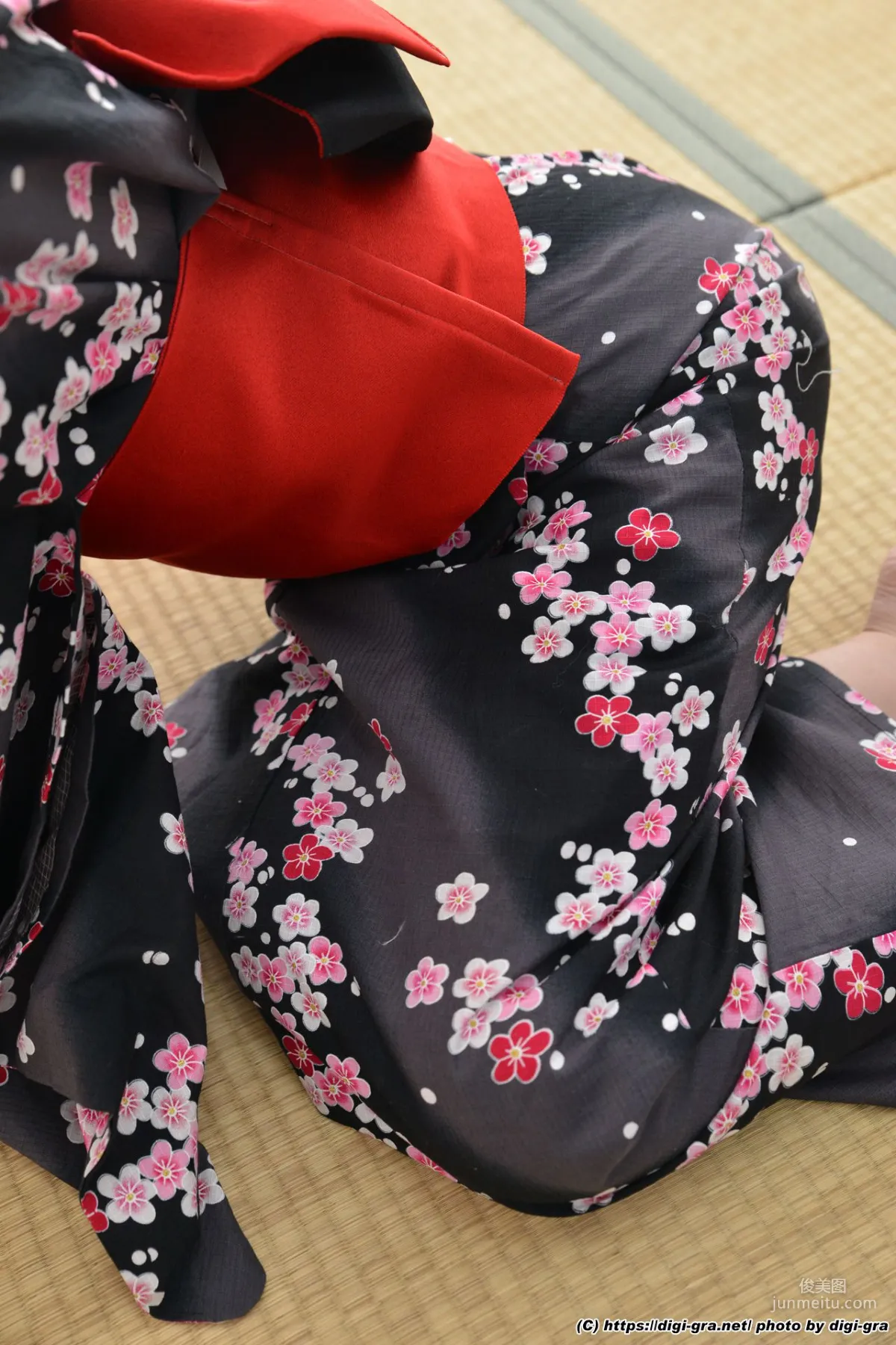 Yua Ariga Photoset 04 [Digi-Gra] Photo Set photo 19