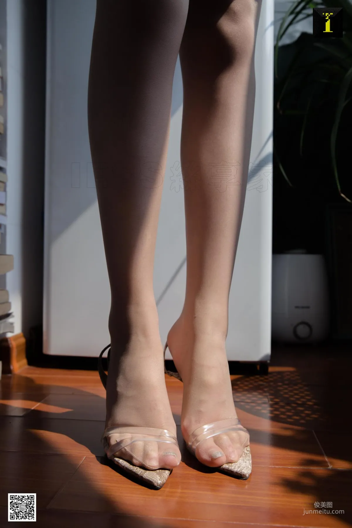 Jiu Mei: IESS photo 21