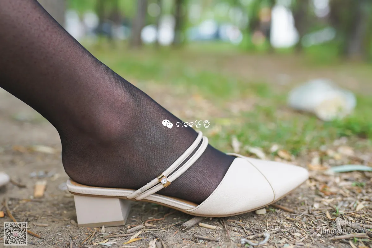 Jing Xin: SIEE No. 319 photo 6