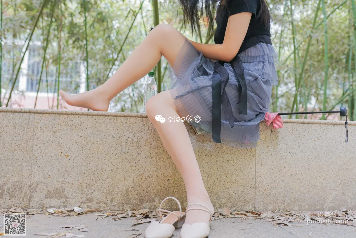 Jing Xin: SIEE No. 300 photo 25