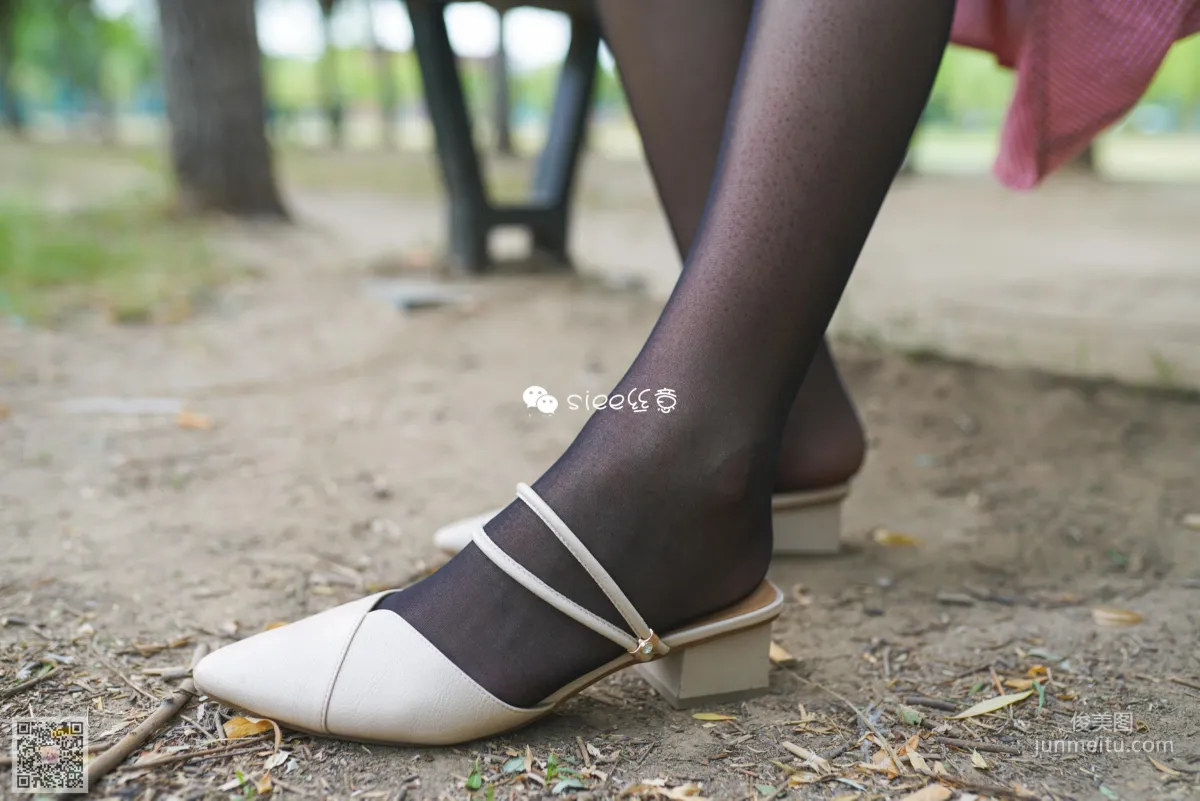 Jing Xin: SIEE No. 319 photo 19