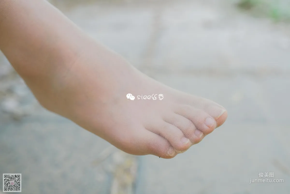 Jing Xin: SIEE No. 300 photo 19