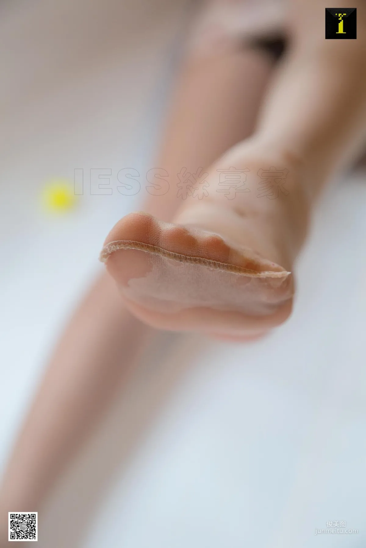 Wan Ping: IESS photo 87
