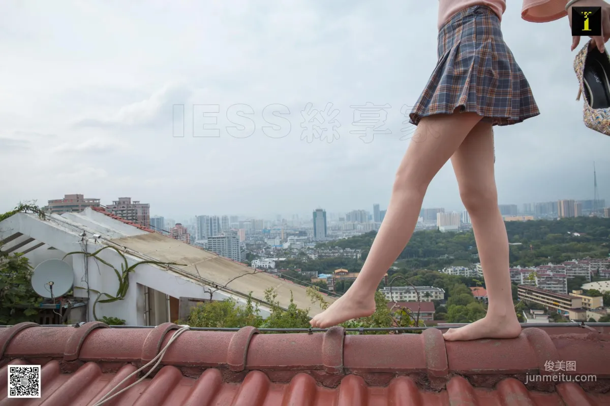 Jiu Mei: IESS photo 4