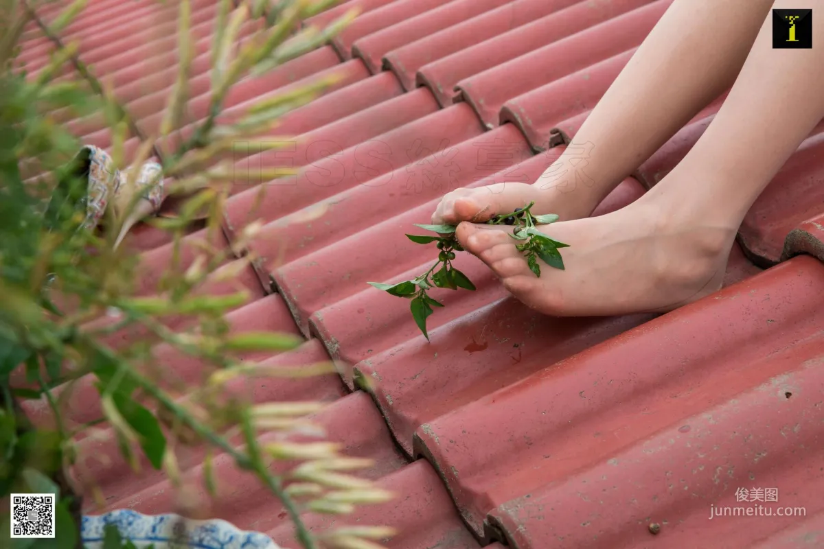 Jiu Mei: IESS photo 6