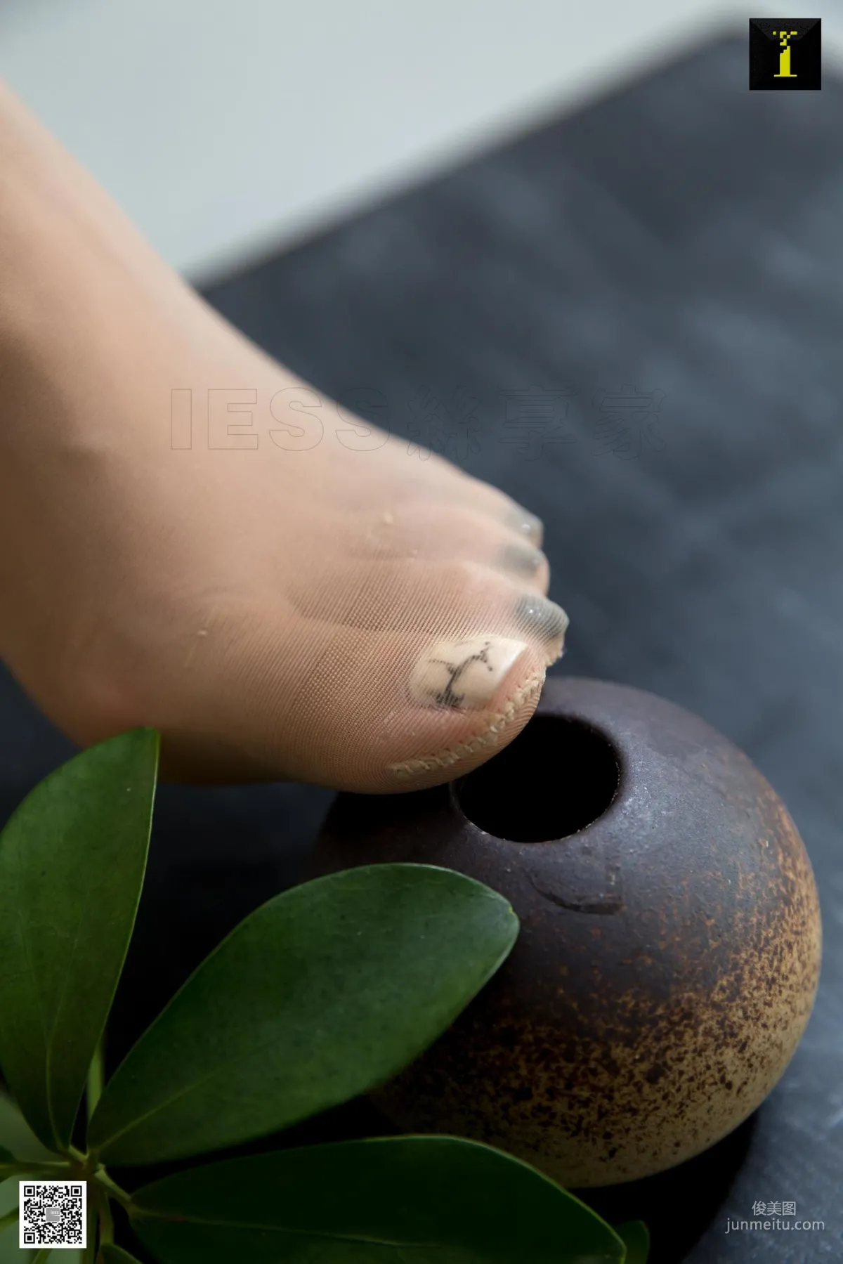 Mei Zi: IESS photo 53