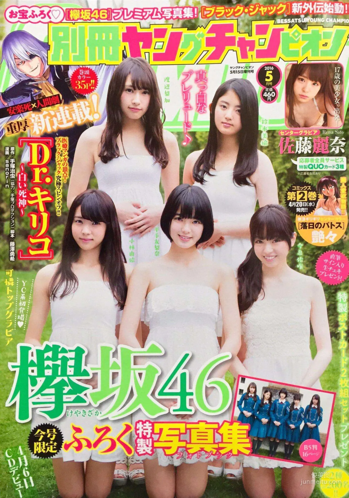 Young Champion photo 1