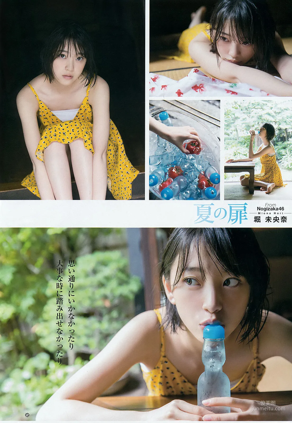 [Young Gangan] Miona Hori 2016 No.15 Photo Magazine photo 5